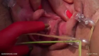 Produk Pussy - queensnake.Com - queensect.Com  casting seks