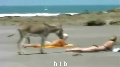 Menyenangkan.4.H. T. B. cerita bokep kampung
