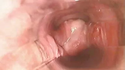 Di dalam vagina selama orgasme l7 cerita dewasa umum