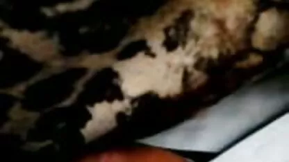 Bus tekan tiga bokep hd mp4