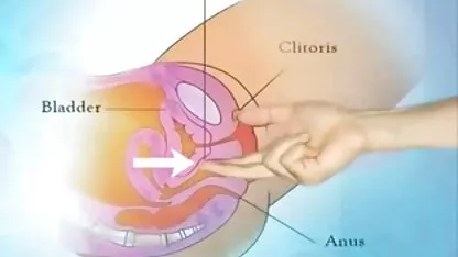 Cum (Ejakulasi wanita) juga dikenal sebagai vy. bokep bodi seksi
